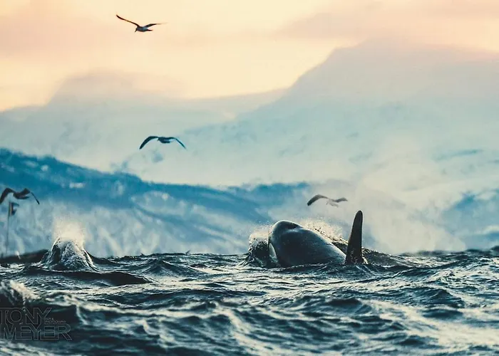 Volda Floating Villa *